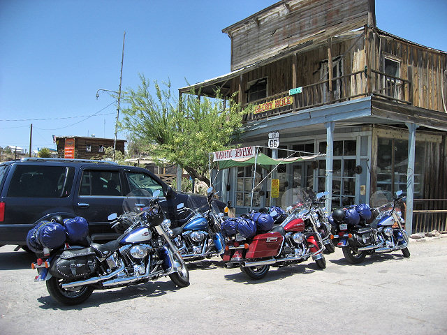 Burros In The Streets of Oatman, AZ