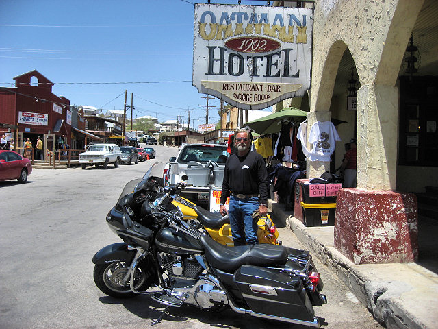 Burros In The Streets of Oatman, AZ