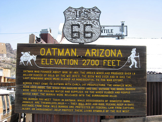 Scenes From Oatman, AZ