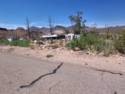 Ed's Camp