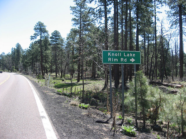 Turn Off of Hwy. 87 for Rim Rd./FR-300