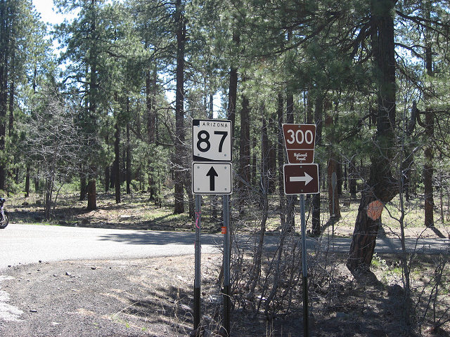 Turn Off of Hwy. 87 for Rim Rd./FR-300