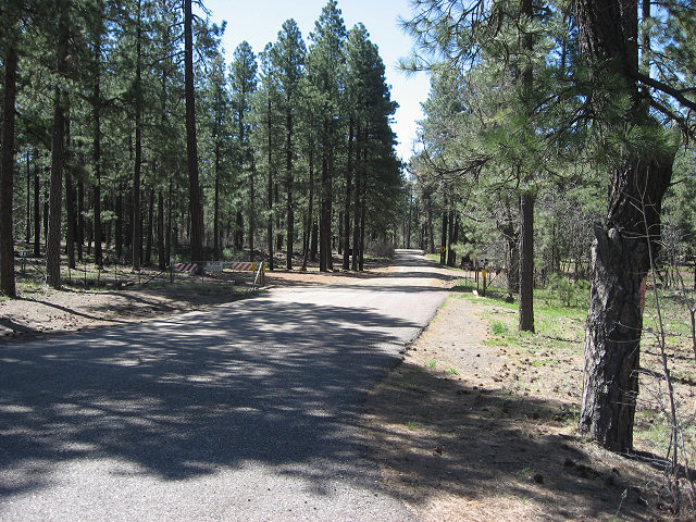 Rim Rd. Aka General Crook Trail Aka Forest Rd. 300