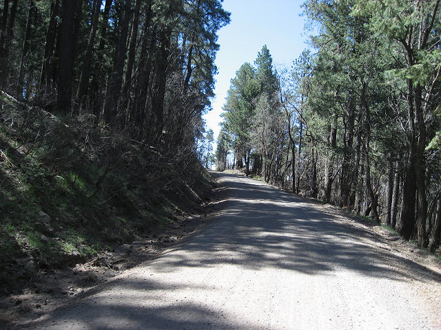 Rim Rd. Aka General Crook Trail Aka Forest Rd. 300