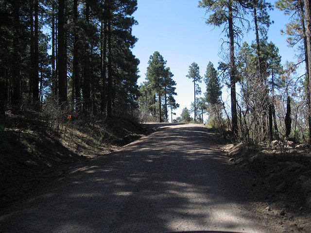 Rim Rd. Aka General Crook Trail Aka Forest Rd. 300