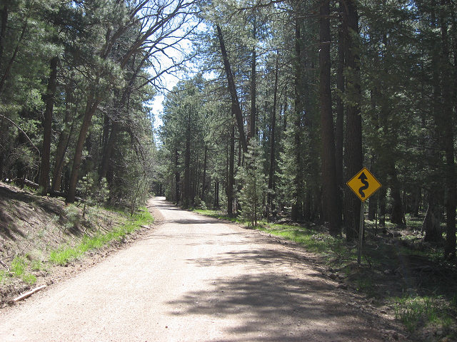 Rim Rd. Aka General Crook Trail Aka Forest Rd. 300