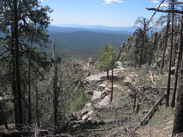 View From the Rim Rd.