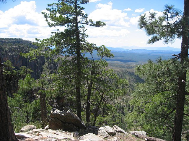 View From the Rim Rd.