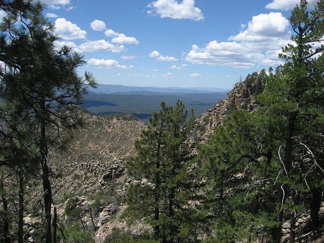 View From the Rim Rd.