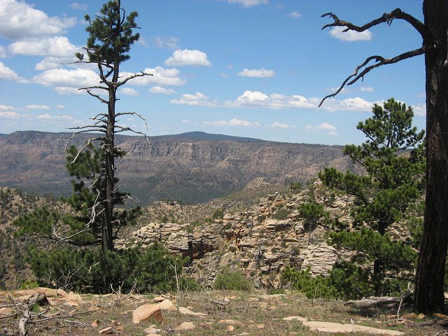 View From the Rim Rd.