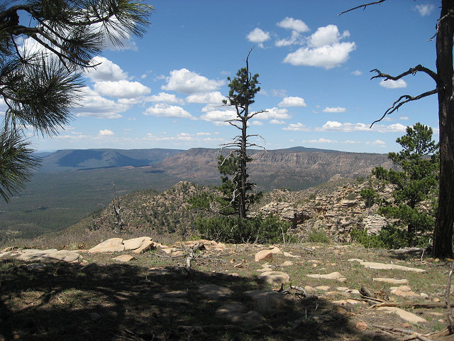 View From the Rim Rd.