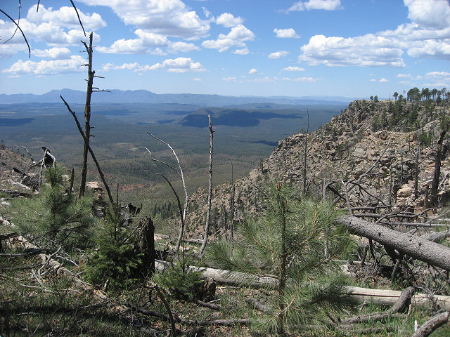 View From the Rim Rd.