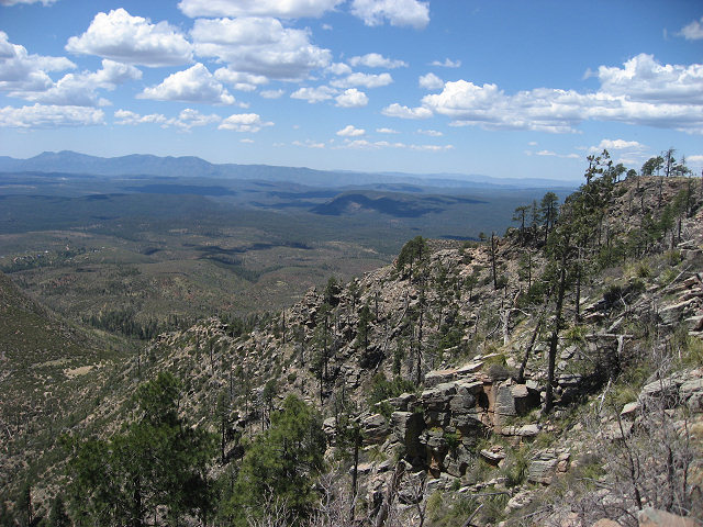 View From the Rim Rd.