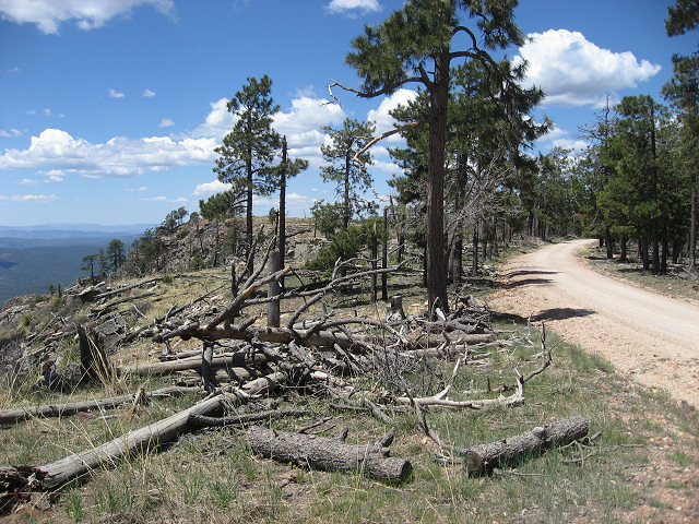 View From the Rim Rd.