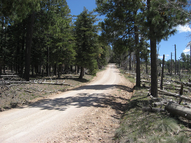 View From the Rim Rd.
