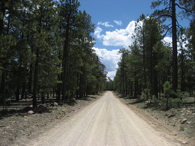 View From the Rim Rd.