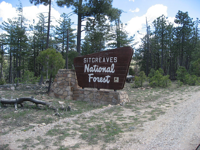Sitgreaves National Forest