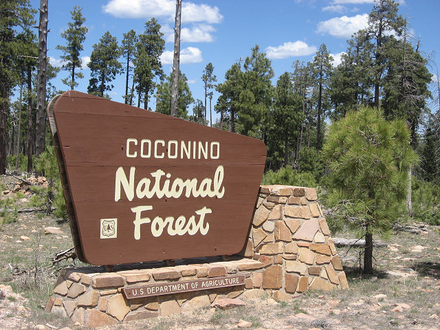 Coconino National Forest