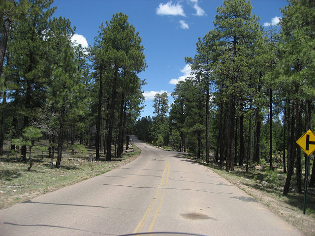Woods Canyon Lake Road