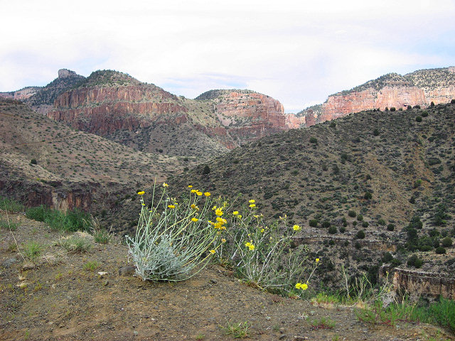 Hwy. 60 - Salt River Canyon