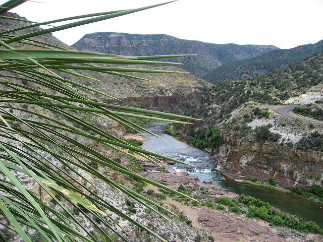 Hwy. 60 - Salt River Canyon